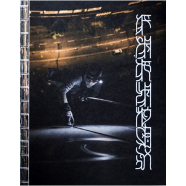 Buch "Paradox.Paradise" Lukas K Stiller (Hardcover)