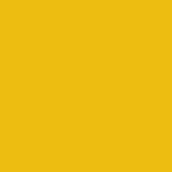 N155_Cape_Yellow